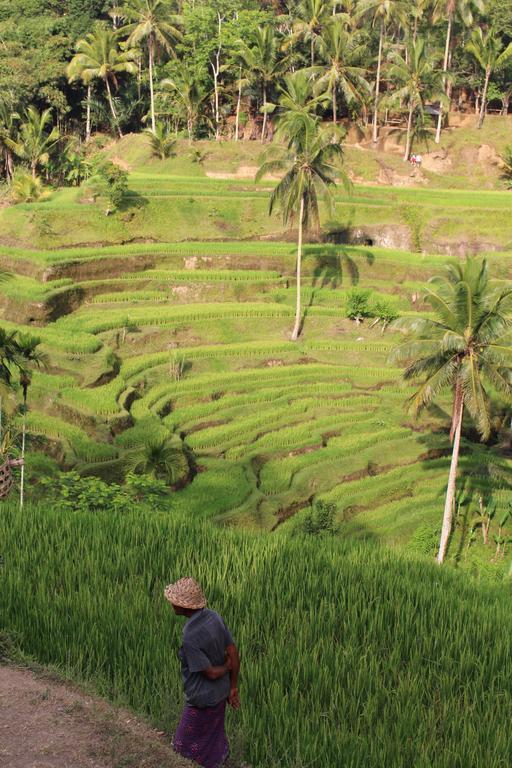 Uma Kama Villa Ubud  Bilik gambar