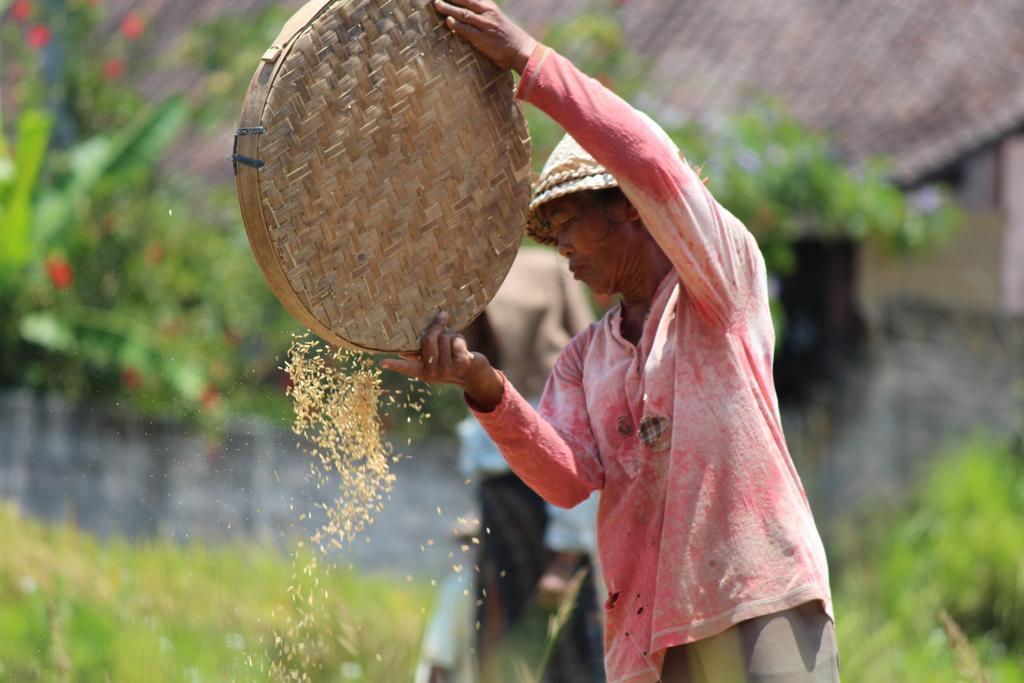Uma Kama Villa Ubud  Bilik gambar