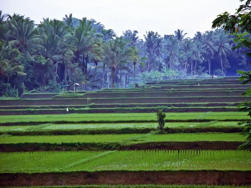 Uma Kama Villa Ubud  Luaran gambar