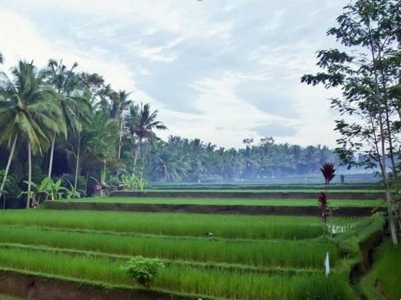 Uma Kama Villa Ubud  Luaran gambar