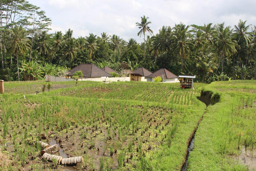 Uma Kama Villa Ubud  Luaran gambar