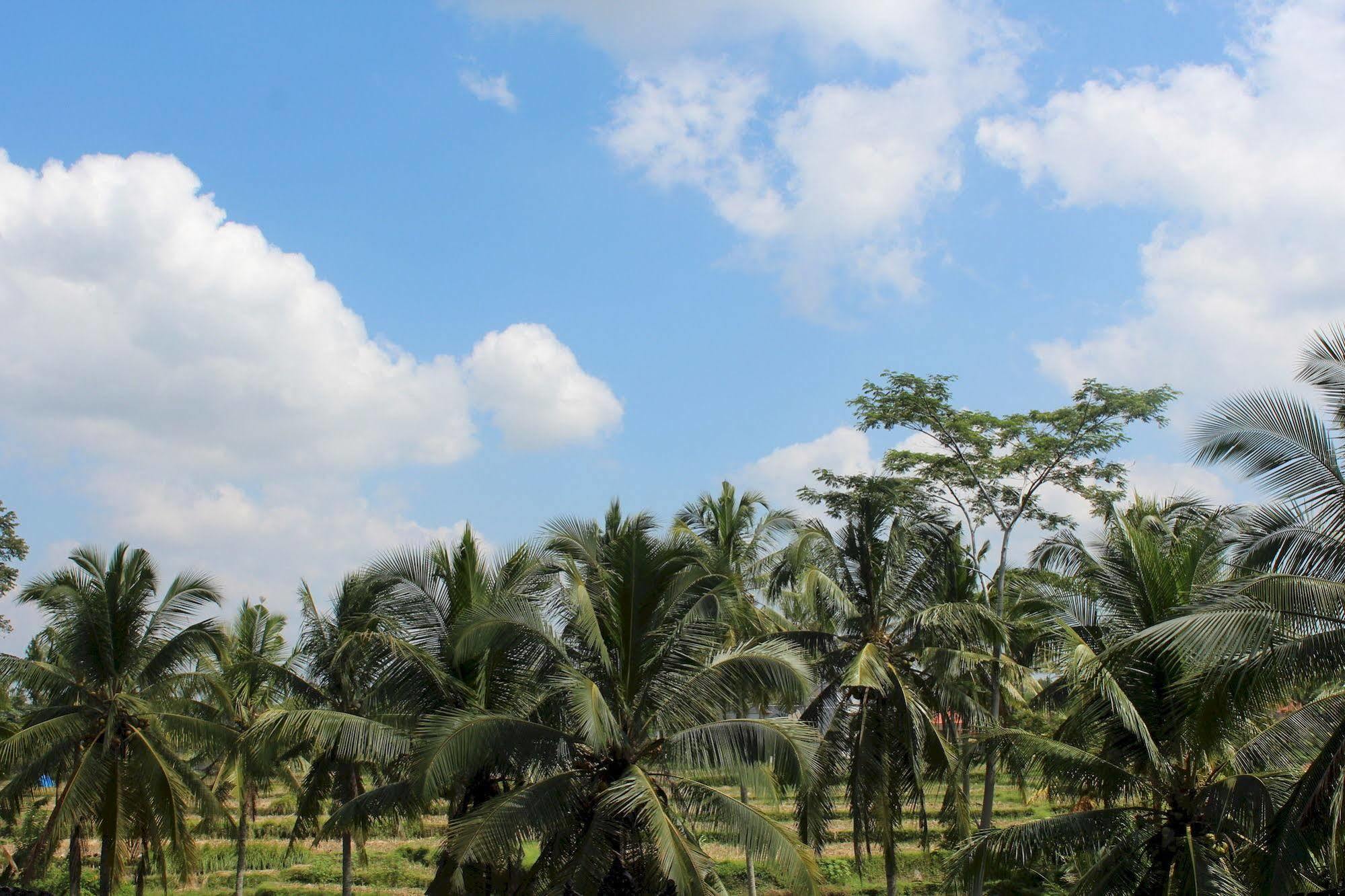 Uma Kama Villa Ubud  Luaran gambar
